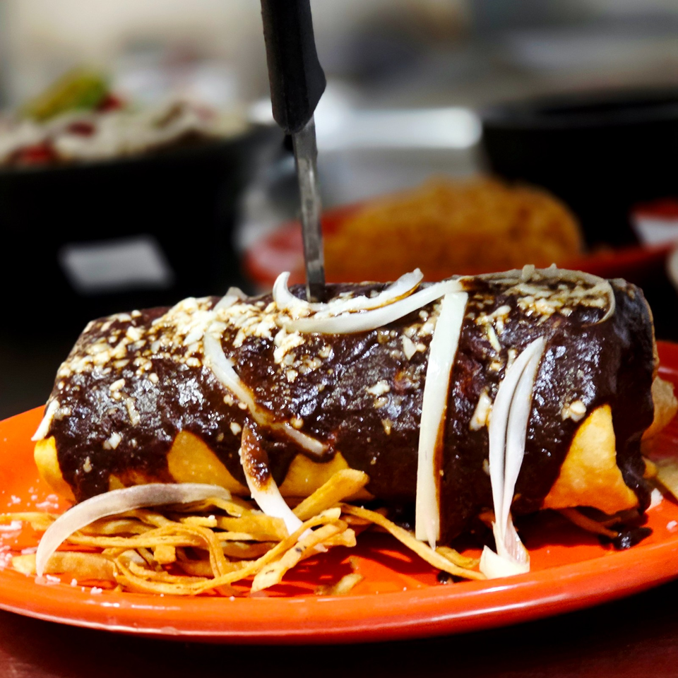 Saucy grilled sandwich topped with onions and crushed nuts, served with crispy fries on a red plate.