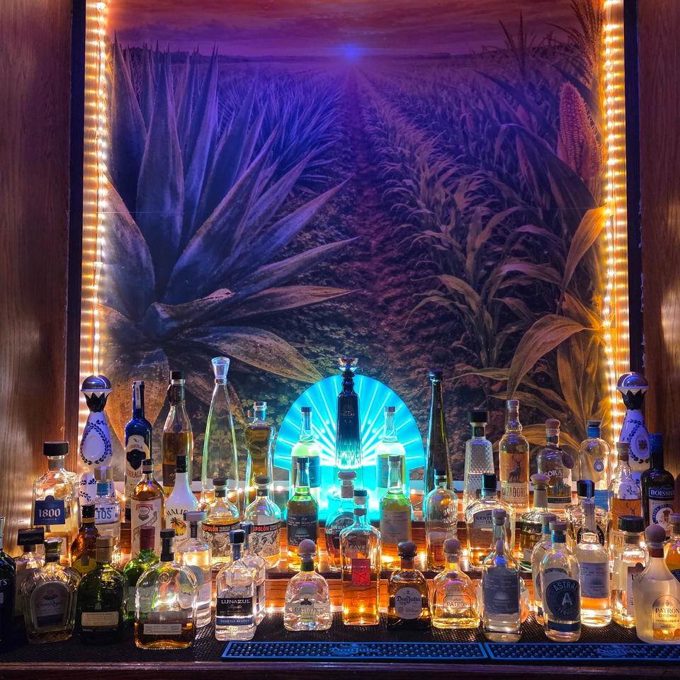 Illuminated bar display featuring numerous tequila bottles against a dramatic agave mural and blue neon lighting.